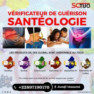 VÉRIFICATEUR DE GUÉRISON