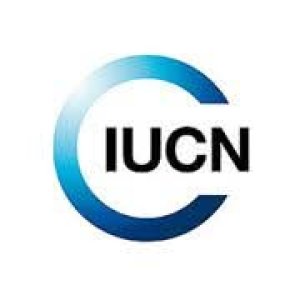 Postes vacants chez IUCN