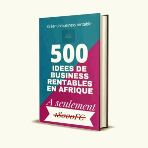500 IDÉE BUSINESS RENTABLE EN AFRIQUE